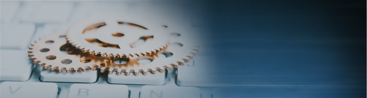 Scheduled Site Update